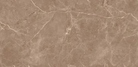 OMT LIVER POOL BROWN END original tile surface
