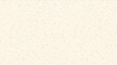 SALTED IVORY Quartz — OS-QC-014