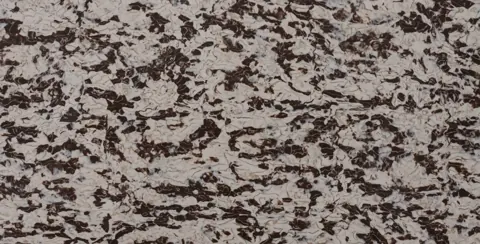 Paradigm RUSSO LAVENTO Quartz — OS-PQ-170