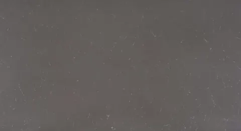 Paradigm CARRARA MAGICAL GREY Quartz — OS-PQ-034