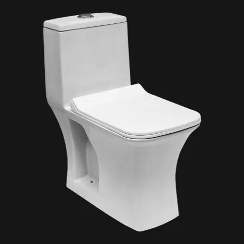 Alfa One Piece Toilet — OS-SW-1001