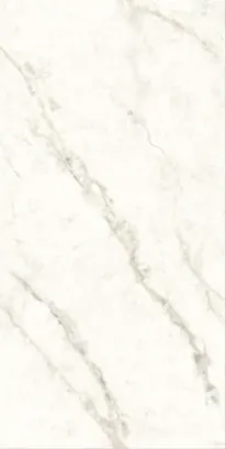 OMT SIGNITE WHITE — OMT SIGNITE WHITE
