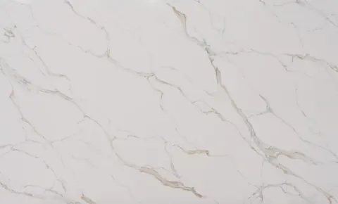 Paradigm FOSSIL Quartz — OS-PQ-189