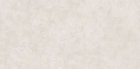 OMT PIGMENTO BIANCO — OMT PIGMENTO BIANCO