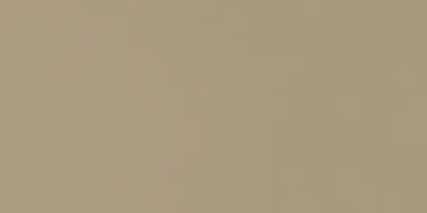 Paradigm PLAIN BEIGE Quartz — OS-PQ-061