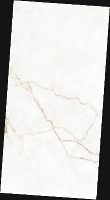 OLP 12071 — OLP 12071, view 2