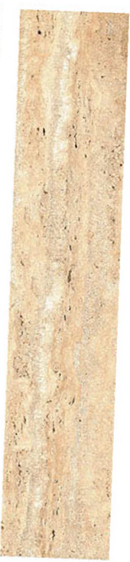 OLP A018 · Sandy Beige — OLP A018, view 5