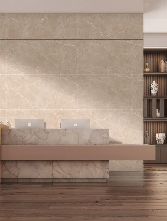 OMT LIVER POOL CREMA END catalogue application illustration