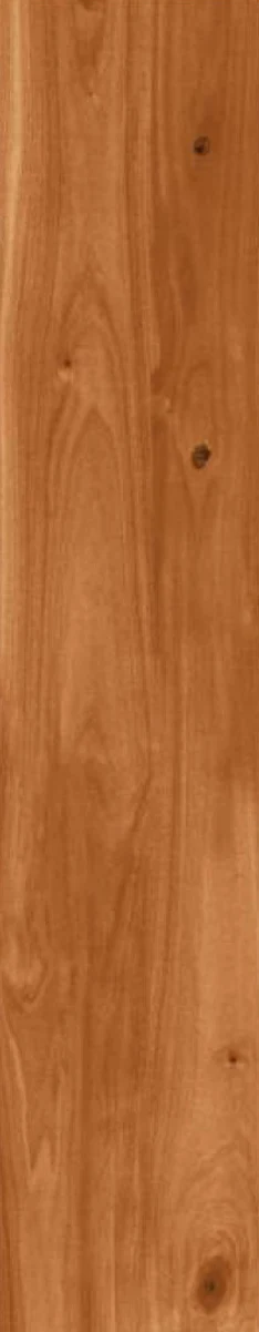 OMT MAHOGONY — OMT MAHOGONY Floor Tiles