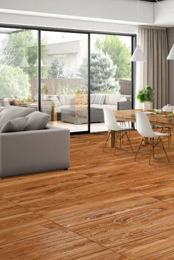 OMT OLIVO GLODAN catalogue application illustration